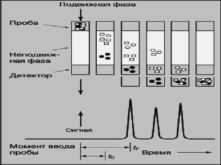 Метод газожидкостной хроматографии. Подвижная фаза в газожидкостной хроматографии. гжх хроматограмма. хроматограф газовый хроматограммы калибровки. газожидкостная хроматография пики.