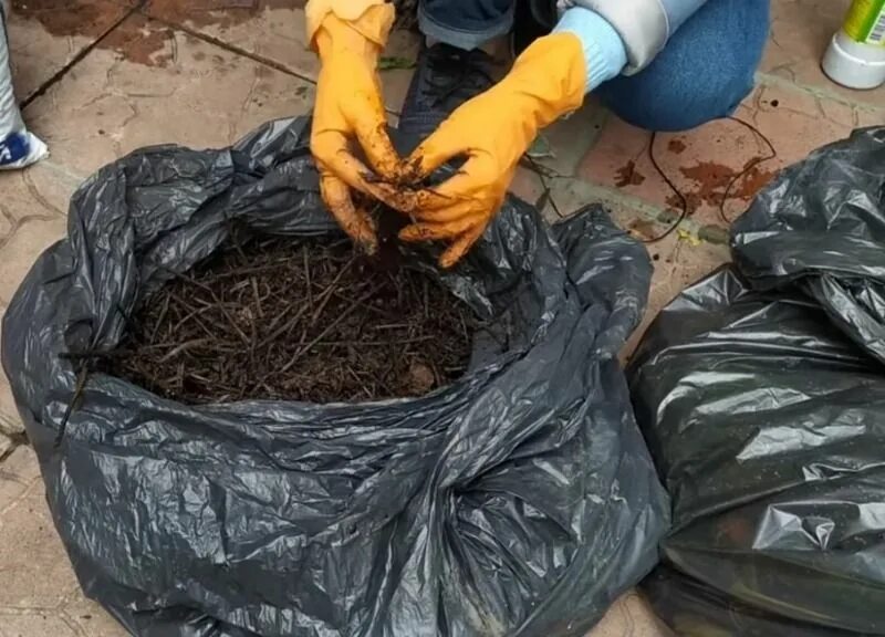 Как сделать компост в мешках из травы. Компост в мешках. Компостный чай. Компост в мешках. Компост в мешках.