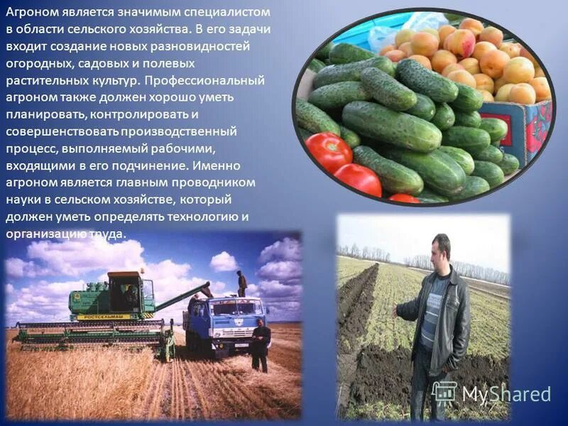 профессия агроном окружающий мир 2 класс. специальность агрономия презентация. агроном профессия. проект профессии 2 класс. агроном профессия.