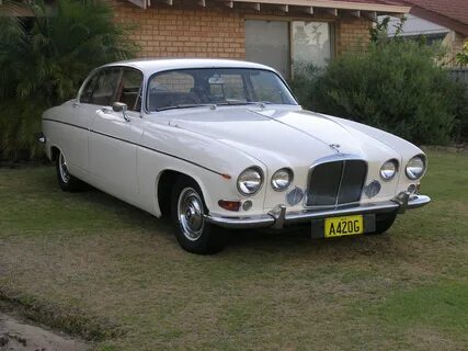 Jaguars 1