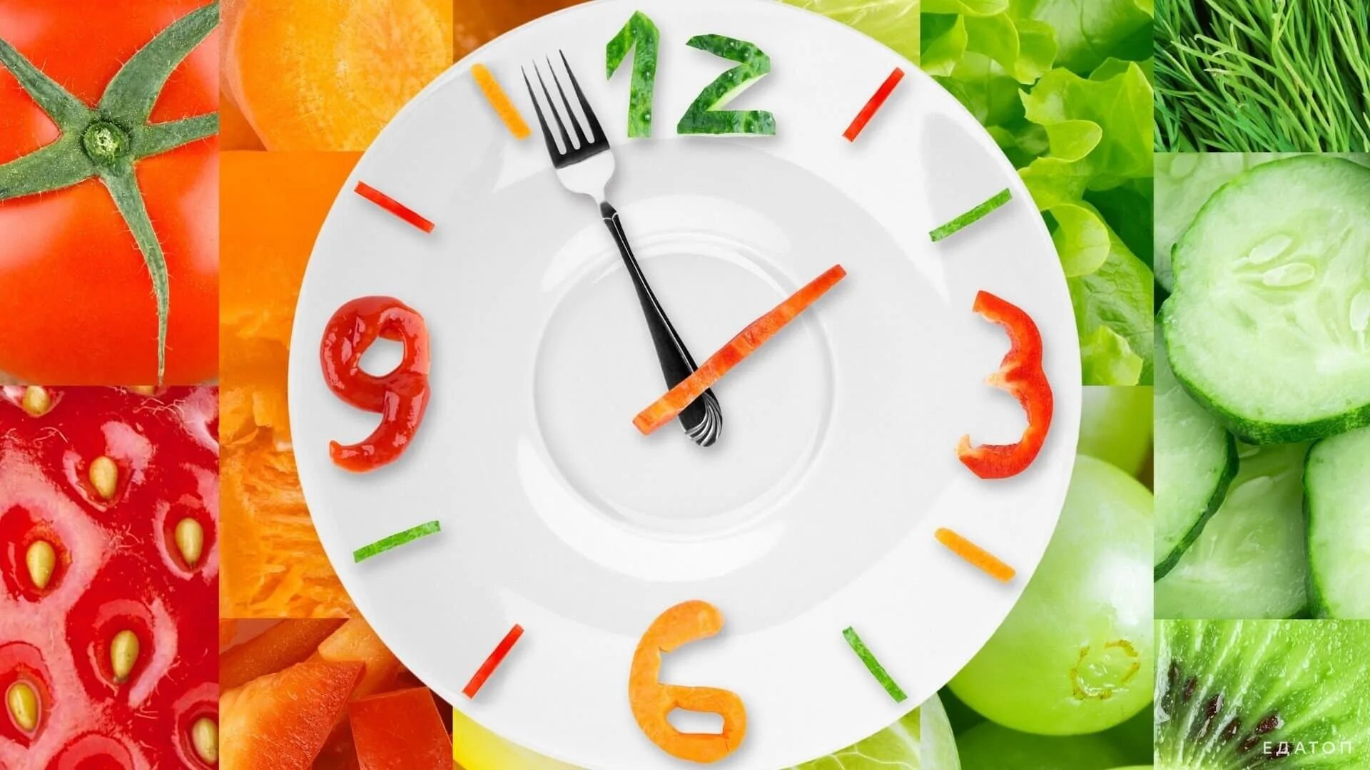 Гигиенические приемы пищи. Правильное питание. Часы питания. Рациональное питание обед. Дробное питание.