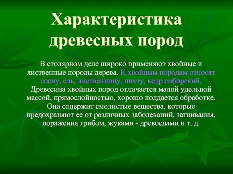 Хвойные породы характеристика. Характеристика древесных пород. Характеристика хвойных пород. Характеристика хвойных пород древесины. Охарактеризуйте мягколиственные породы.