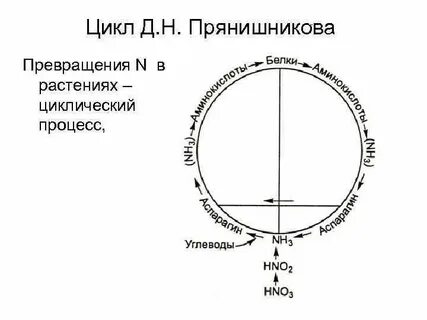Цикле преобразований