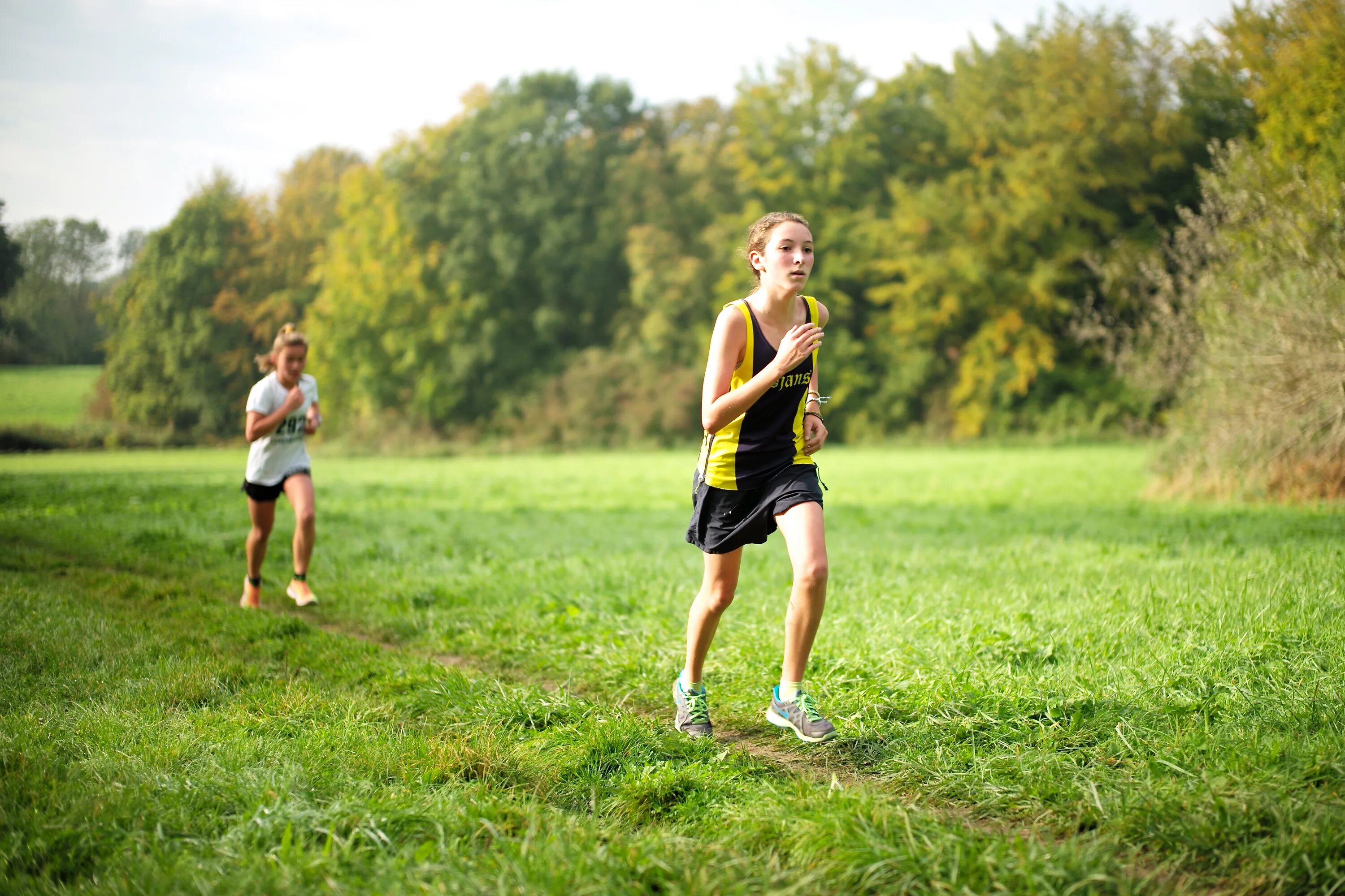 Бег трусцой. Run Wood бег. Спортивные соревнования в лесу. Бег трусцой фото. Running field