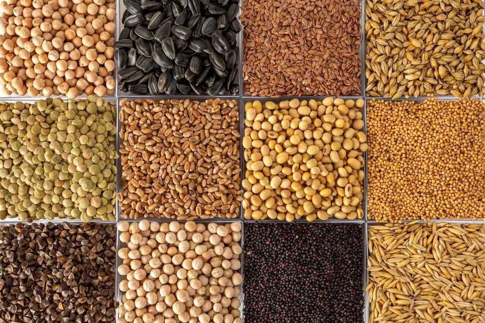 Комбикорма для животных. Корма для сх животных. Корма для сх животных. Корма для сельскохозяйственных животных. Корм для сельскохозяйственных животных.