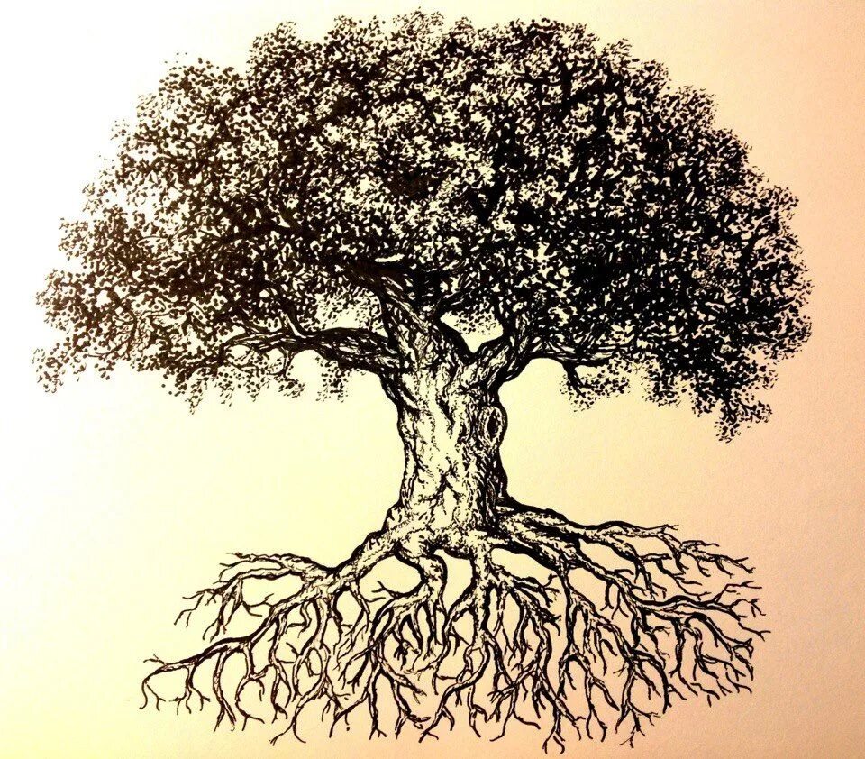 Isn tree