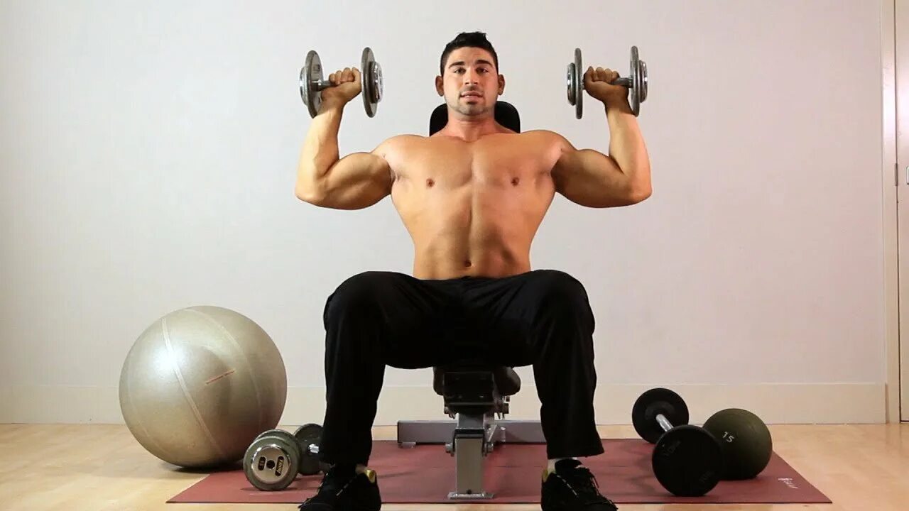 Песни гантели. Seated Dumbbell overhead Press. С гантелями. Французский жим гантелей. Жим гантелями сидя.