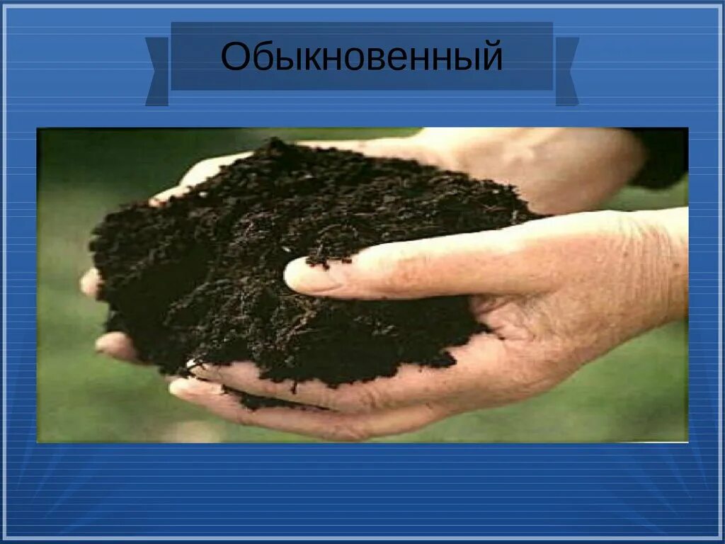 Южные черноземы почвы. Чернозем Южный малогумусный. Чернозем обыкновенный карбонатный. Почва чернозем. Почва чернозем обыкновенный.