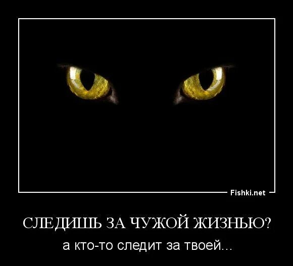 Следит за жизнью бывшей. Люди которые следят за чужой жизнью цитаты. люди следящие за чужой жизнью. следить за чужой жизнью цитаты. цитаты о слежке за чужой жизнью.