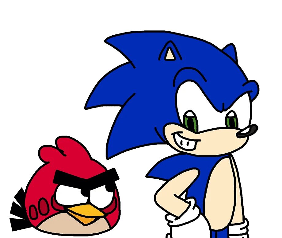 Sonic birds. Ежик Соник. Соник и Angry Birds. Sonic Angry. Sonic Sega с птичками.