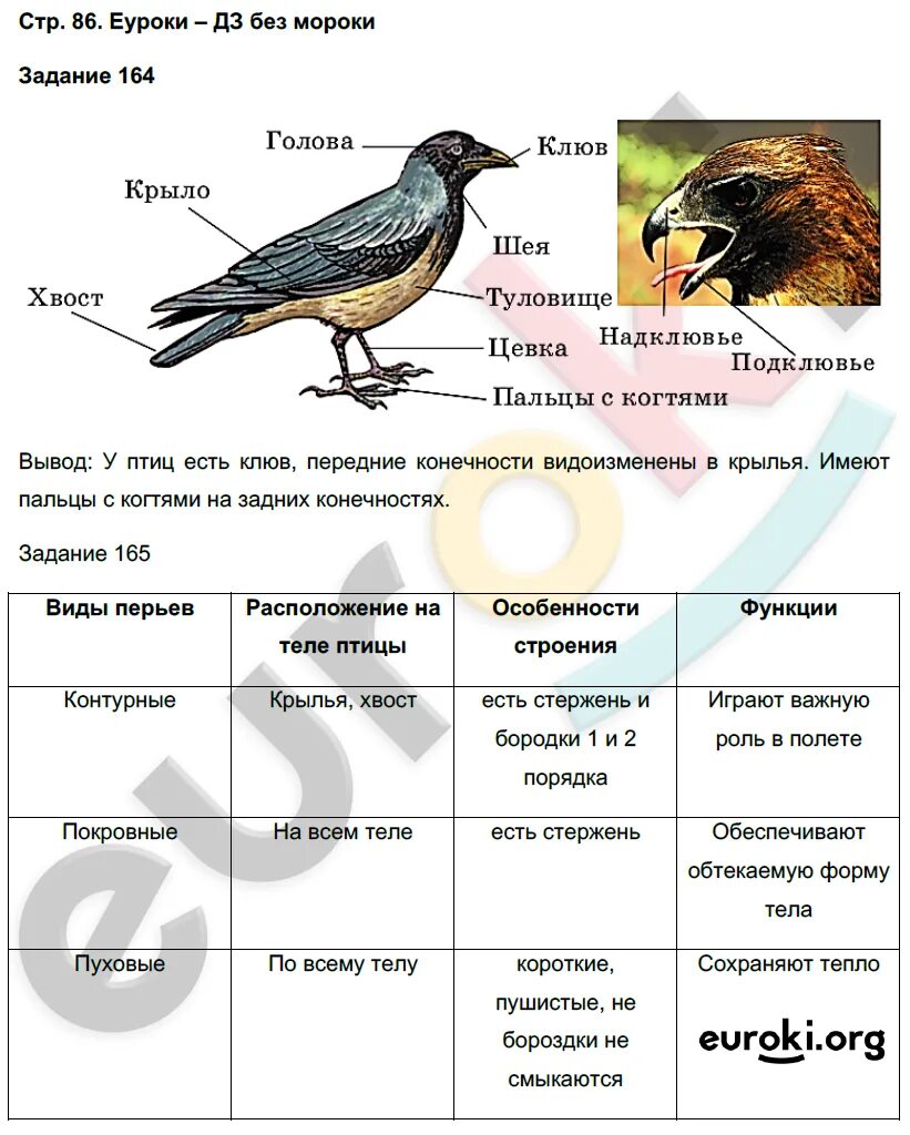 Биология 7 класс 20 стр вопросы. Решение задач по биологии 7 класс. биология 7 класс страница. биология 7 класс рабочая тетрадь таблица задания. план урока по биологии 7 класс.