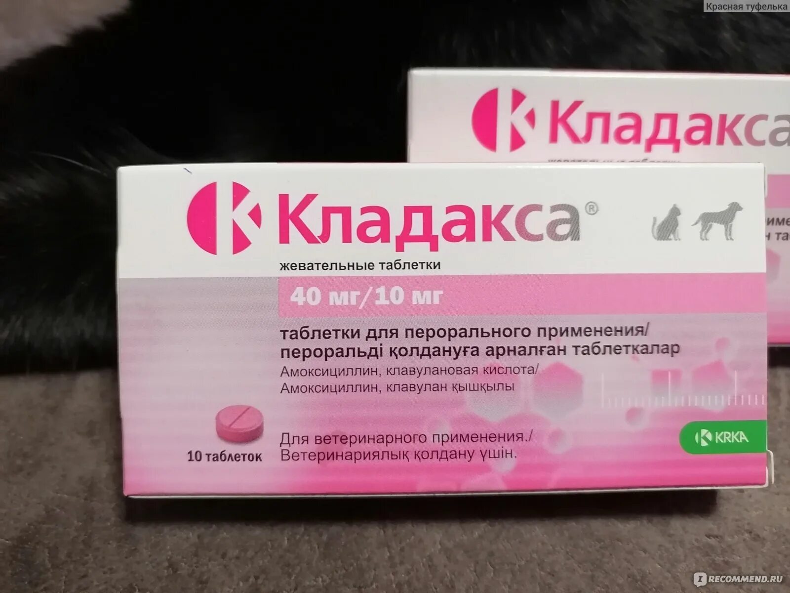 Кладакса для кошек купить