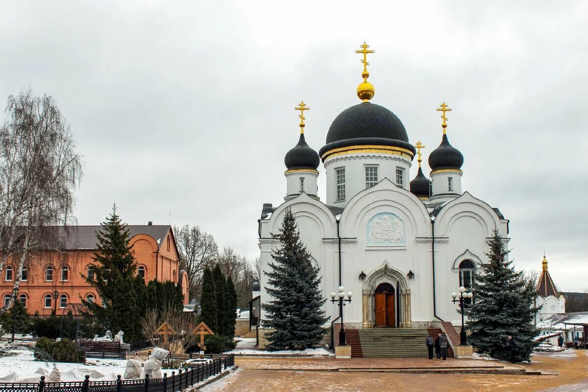 Задонский свято-тихоновский преображенский монастырь. Тихоновский монастырь задонск. Преображенский тихоновский монастырь в задонске. Задонский свято-тихоновский преображенский монастырь. Женский монастырь скит задонск.