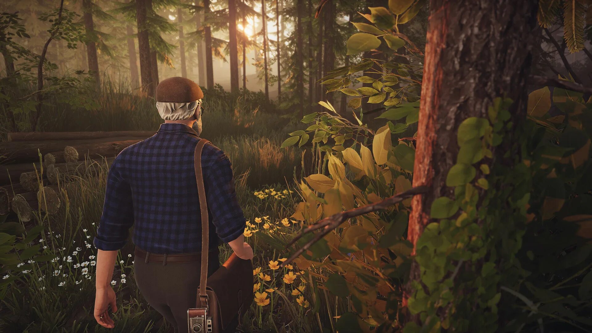Having adventures