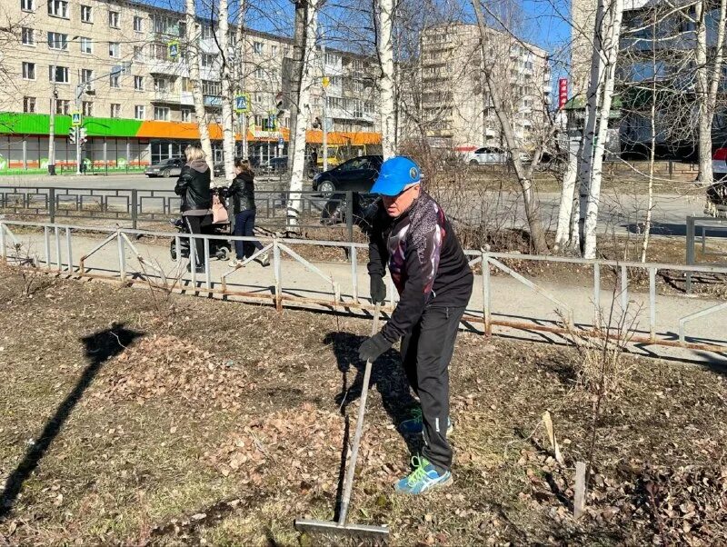 трудовая вахта