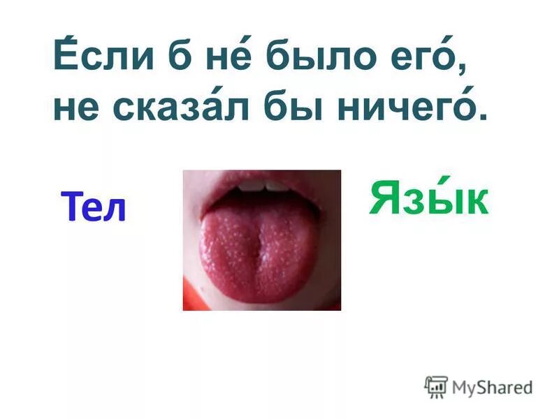 Затрепетала. Угадывать загадки. Ничего язык. Человек проглотил язык. Кто не знает иностранного языка тот не знает своего собственного гете.