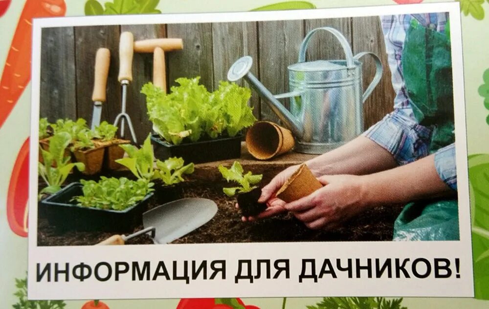Садовод на участке. Штрафы на даче. Новые правила для дачников и садоводов. Штрафы дачникам картинки. Штрафы за дачный участок.