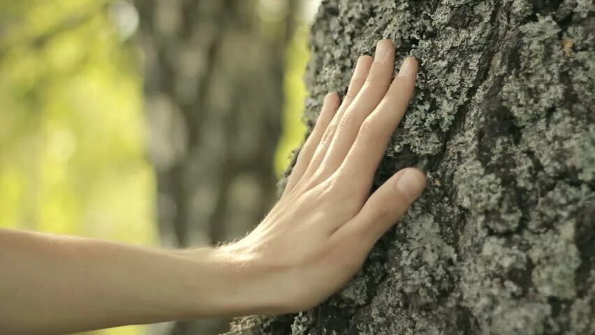 One that hand. Nature Touch. Добрые дела Эстетика. Фон честность. Руки копаются.