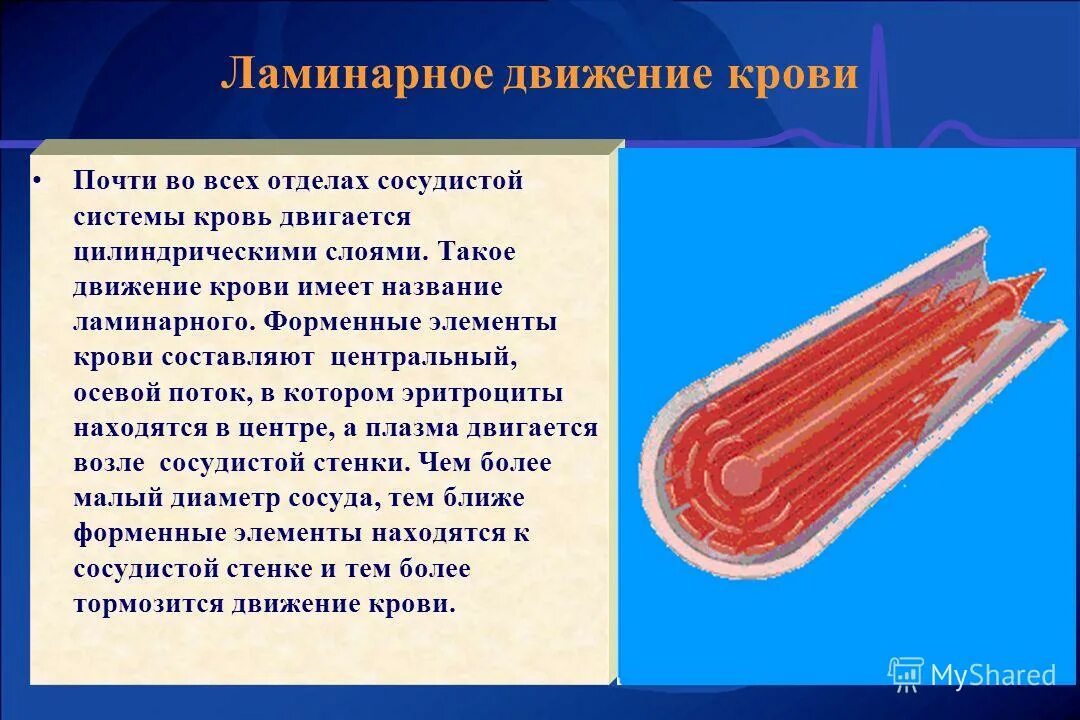 турбулентный кровоток