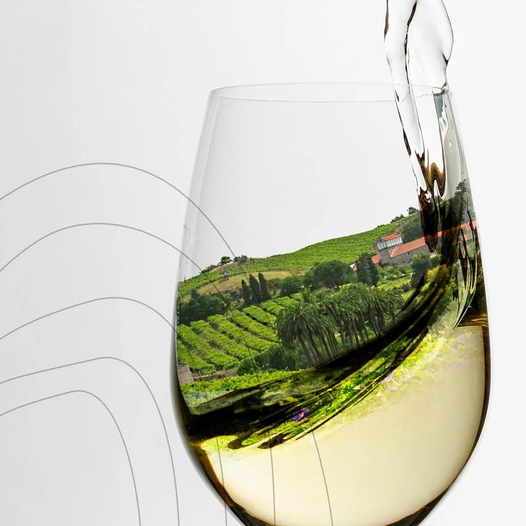 Мир вину. Вино Испания пейзаж. Путешествие по миру вина. Вино и мир. Светлого пути в мир вина.