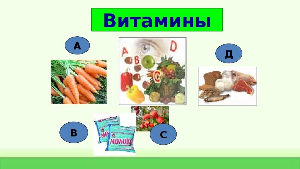 Витамины урок 8 класс. Витамины биология 8 класс. Витамины урок в 8 классе биология презентация. Витамины урок. Витамины урок в 8 классе биология.