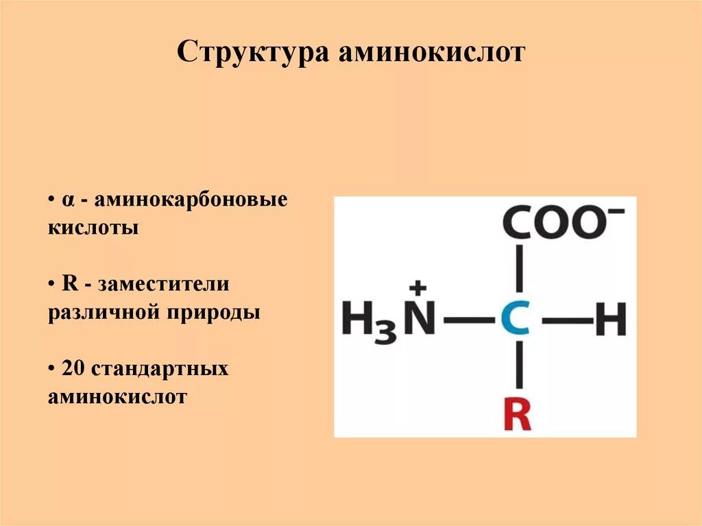 Структурное строение аминокислот. Аминокислоты структура формулы. Общая структура α-аминокислот. Общая схема строения аминокислоты.