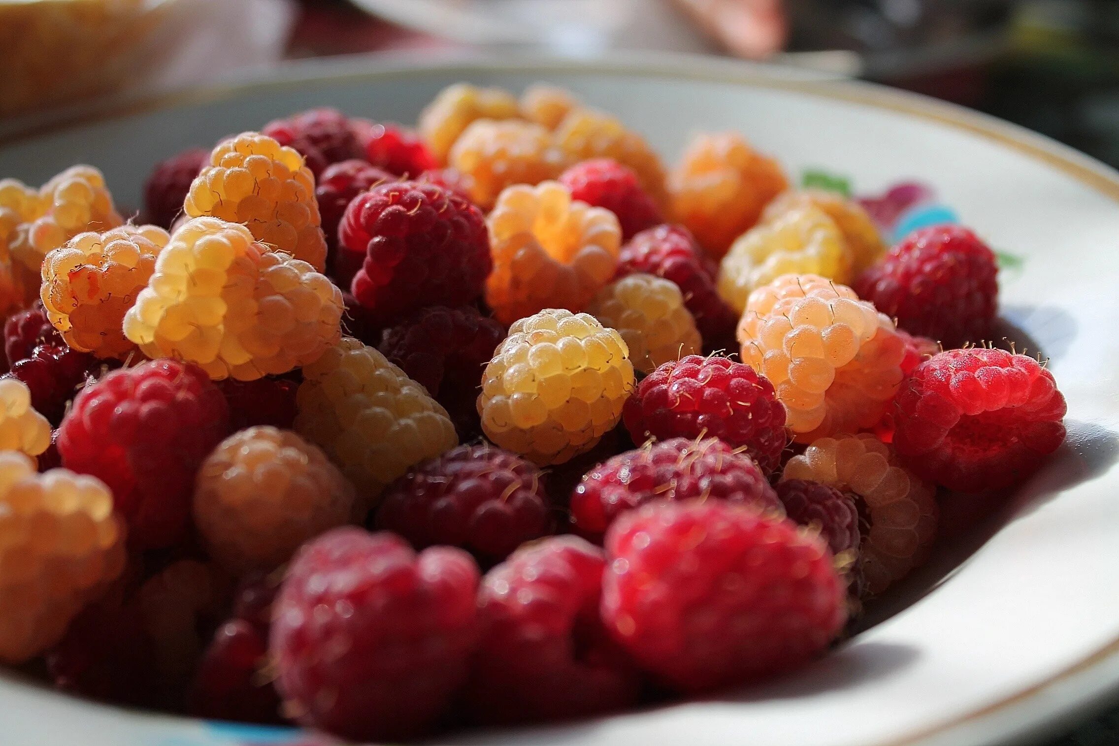 Raspberry
