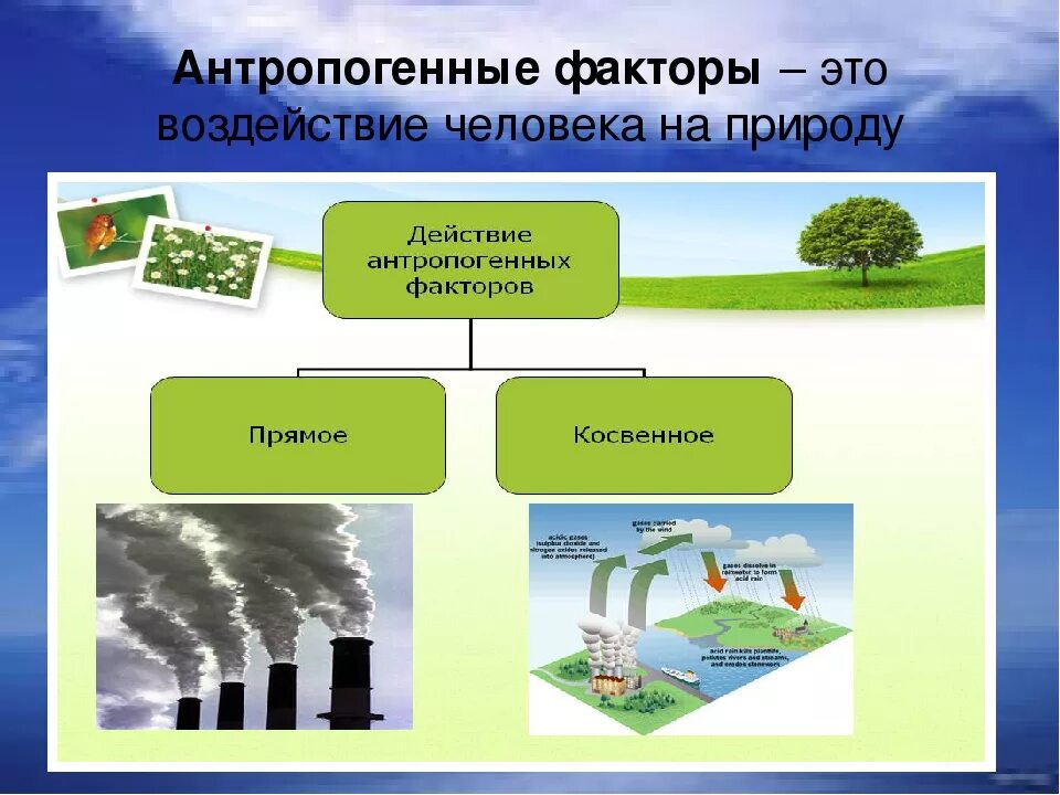 Примером антропогенного фактора является. Факторы воздействия на природу. Антропогенные факторы. Антропогенные экологические факторы. Факторы окружающей среды.