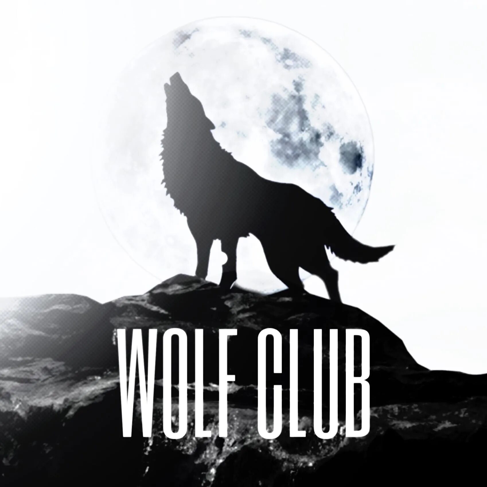 Wolf Club. Wolf Club Band. Клуб белые волки. Wolfclub Wallpapers.