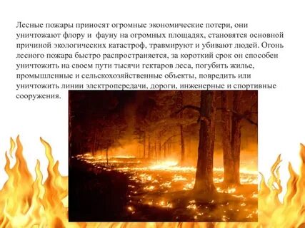 Экологические катастрофы например о лесных пожарах