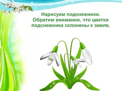 Рамка первоцветы