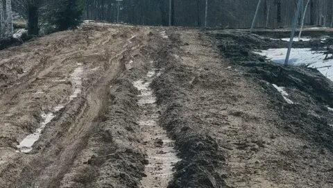 Сели в ряд
