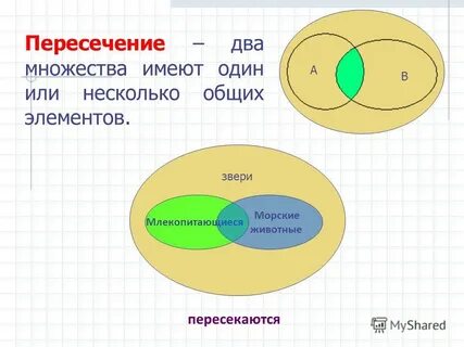 В целом множестве людей