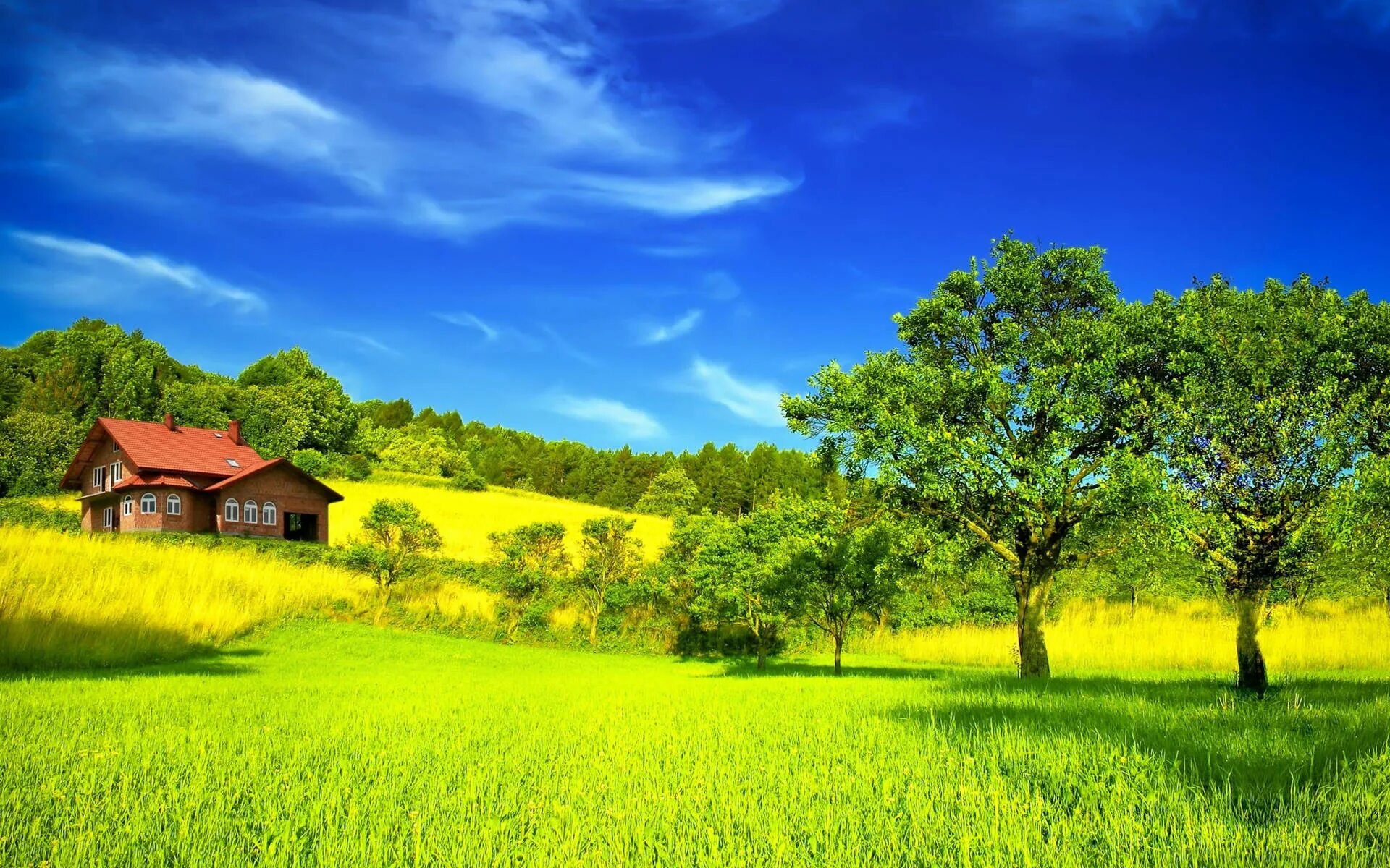 Scenery view