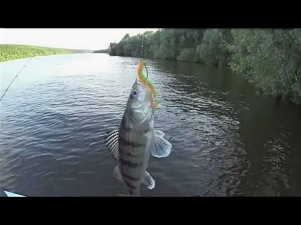 Рыбалка на москве реке в районе жуковки. Рыбалка ока сейчас. Река ока рыбалка. Рыбалка ока ланьшино. Рыбалка ока сейчас.