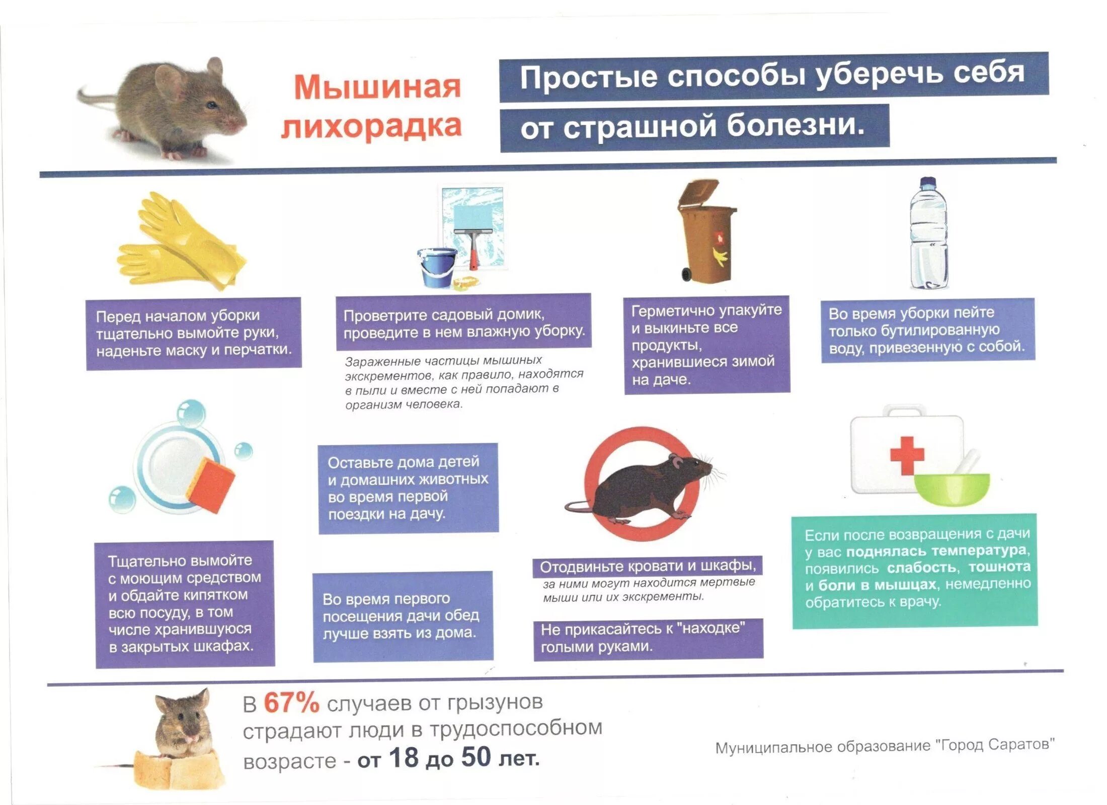 Геморрагическая лихорадка с почечным синдромом профилактика. Пути передачи мышиной лихорадки. Мышиная лихорадка симптомы. Памятки по профилактике природно-очаговых инфекций. Геморрагическая лихорадка с почечным синдромом профилактика.