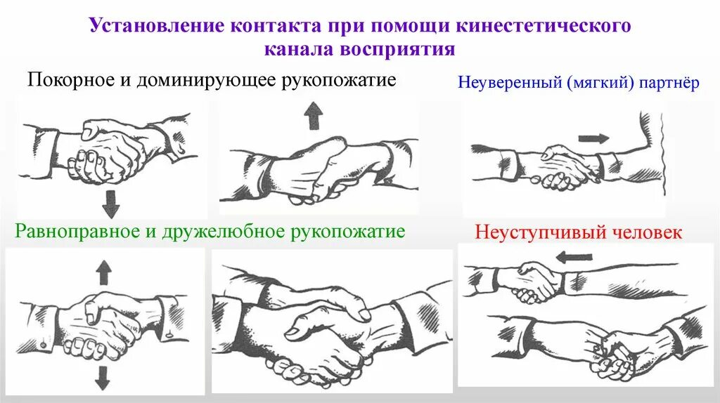Трактовка доминирующего рукопожатия рука
