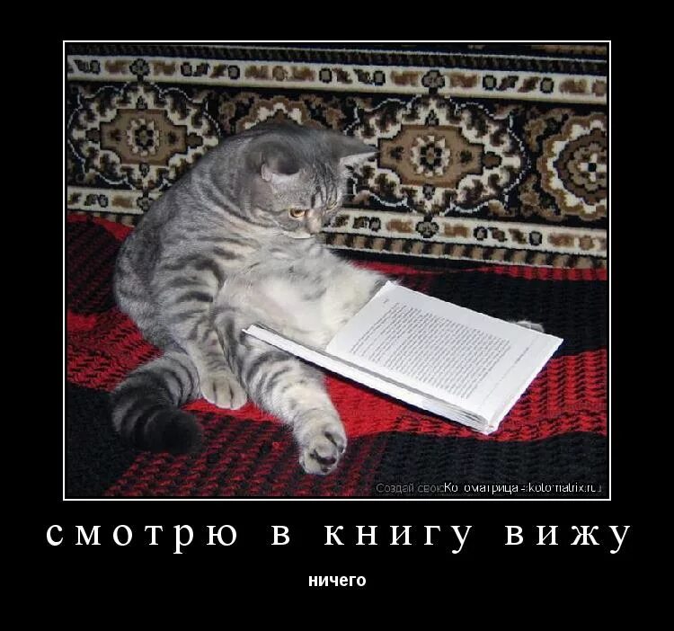 Смотрим в книгу видим. Кот с книгой Мем. Прикольные кошки с чтением книг. Котоматрица учеба. Кошка с книгой прикол.