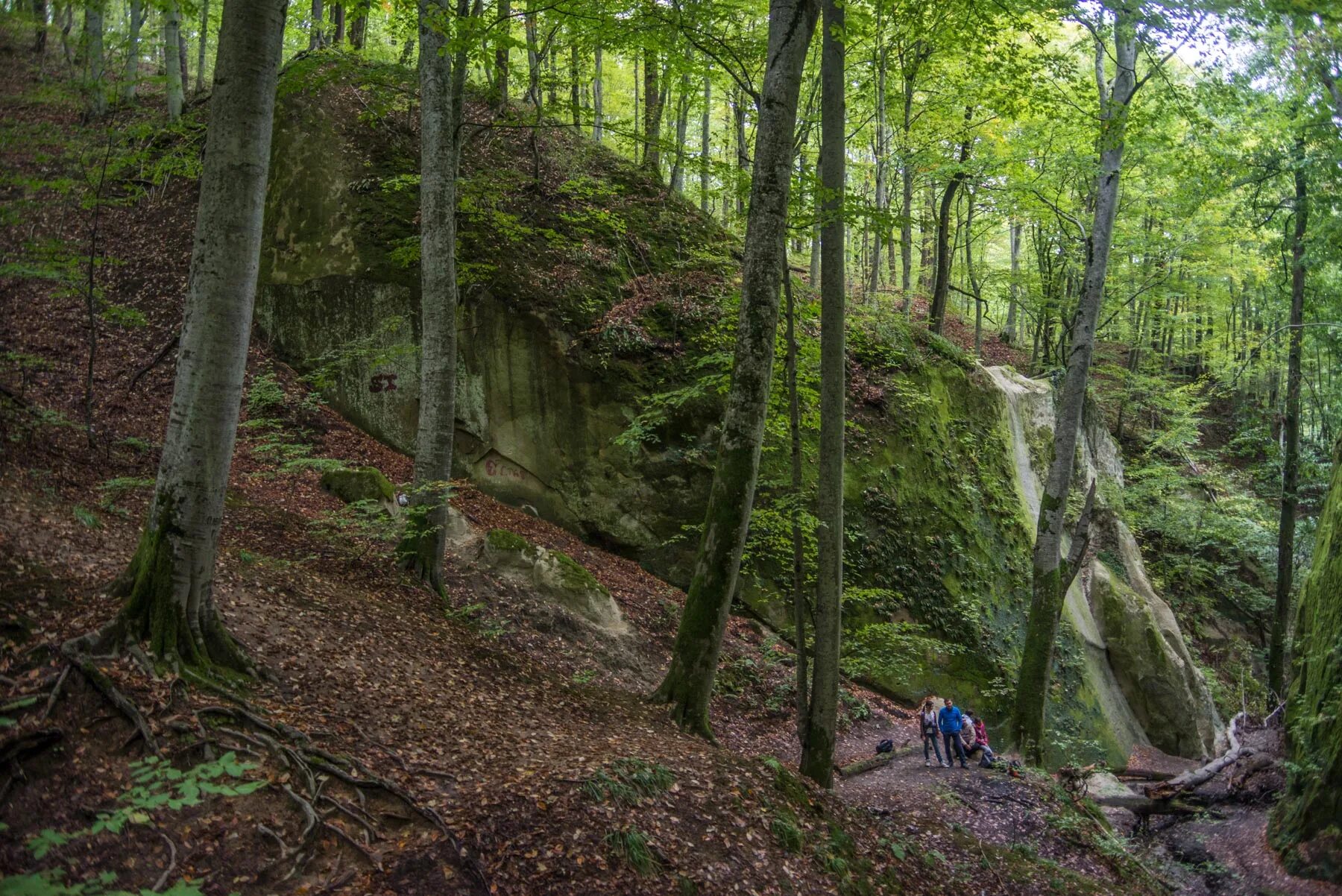 Interest in nature. Скала зеркало горячий ключ. Скала зеркалка горячий ключ. Зеркальная скала горячий ключ Краснодарский край. Гора зеркало горячий ключ.