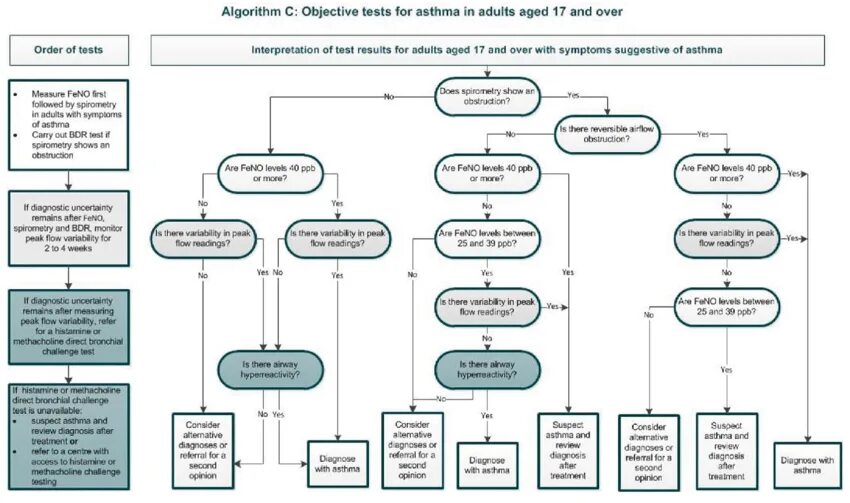 Testing algorithm. Diagnostic methods. diagnostic algorithms.. classification algorithms. график algorithm test.