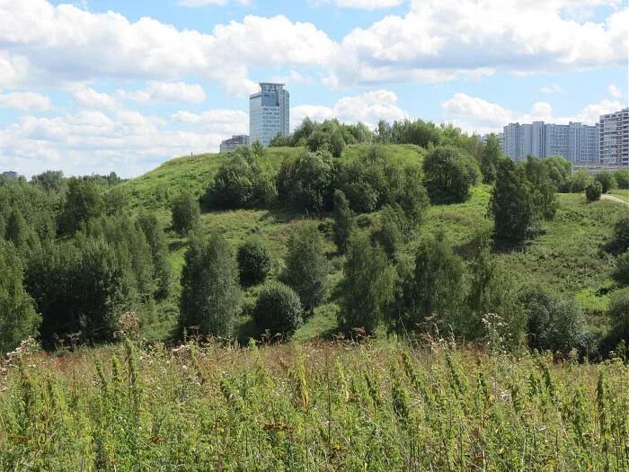 Крылатские холмы ландшафтный парк. Парк заповедник Крылатские холмы. Восточный Крылатский холм. Крылатские холмы фонтан.