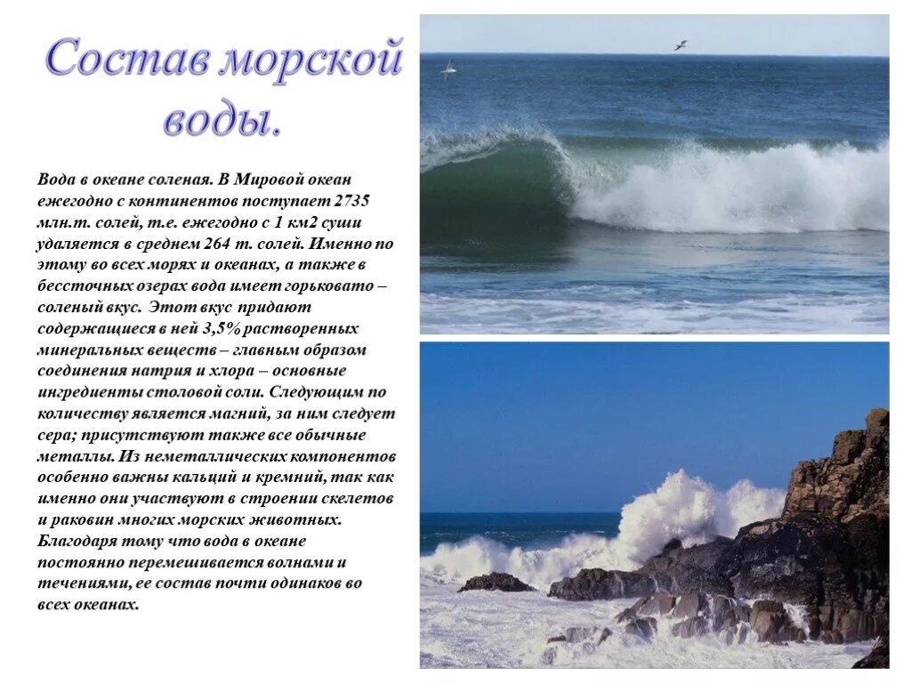 Состав вод океанов. Мировой океан водные объекты. Состав воды океана. Состав вод мирового океана. Океан состоит из морей.