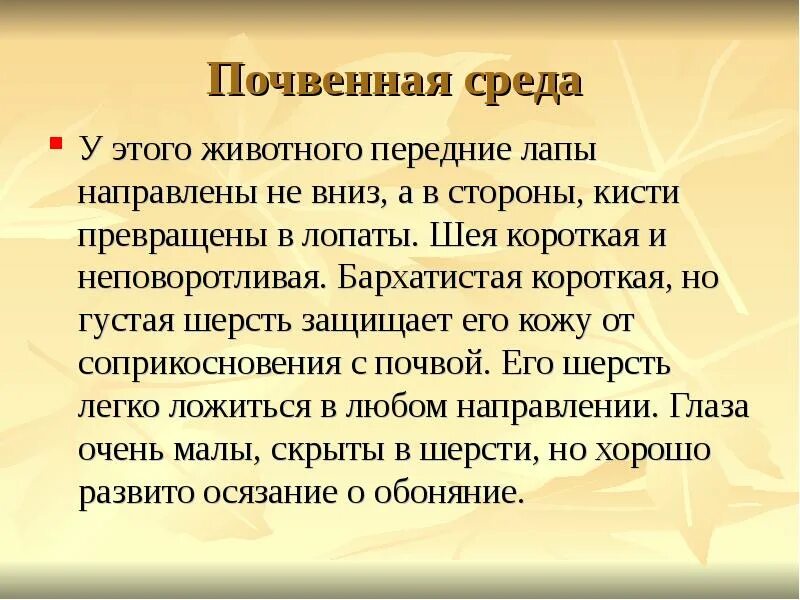 Доклад на тему почвенная среда. Доклад почвенная среда. Почвенная среда обитания доклад. Сообщение о почвенной среде 5 класс. Почвенная среда доклад 5 класс.