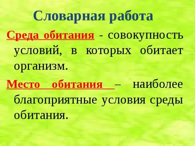 Местом обитания наиболее. Совокупность условий в которых обитает организм. Благоприятные условия среды.