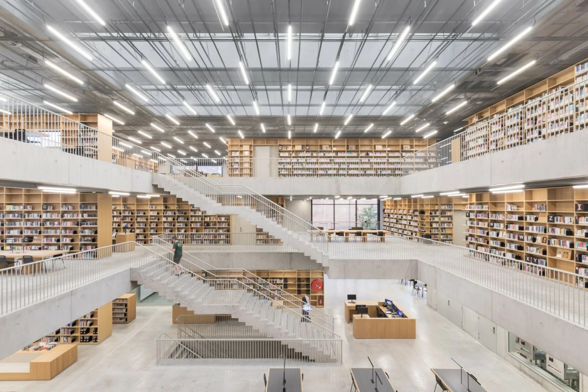 The dynamic library