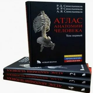 Синельников атлас анатомии человека 3