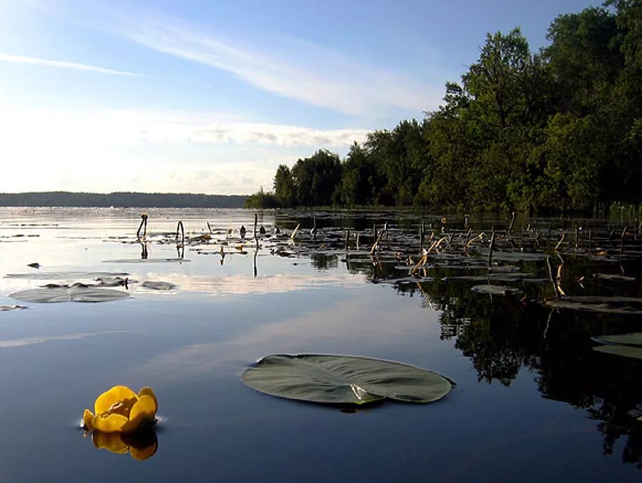 Озеро Селигер. Серебряное озеро Осташков. Серебряное озеро Селигер. Островки на озере Селигер. Озеро селигер отдых 2024