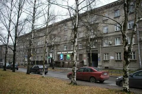 Сестрорецкая улица спб