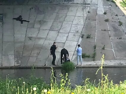 Наши сети притащили мертвеца