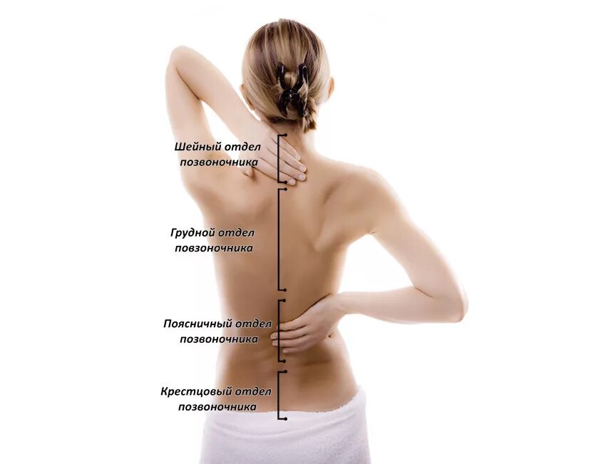 Болит ниже спины слева. Позвоночник. Отделы спины. Поясничный отдел позвоночника. Шейно-грудной отдел позвоночника.